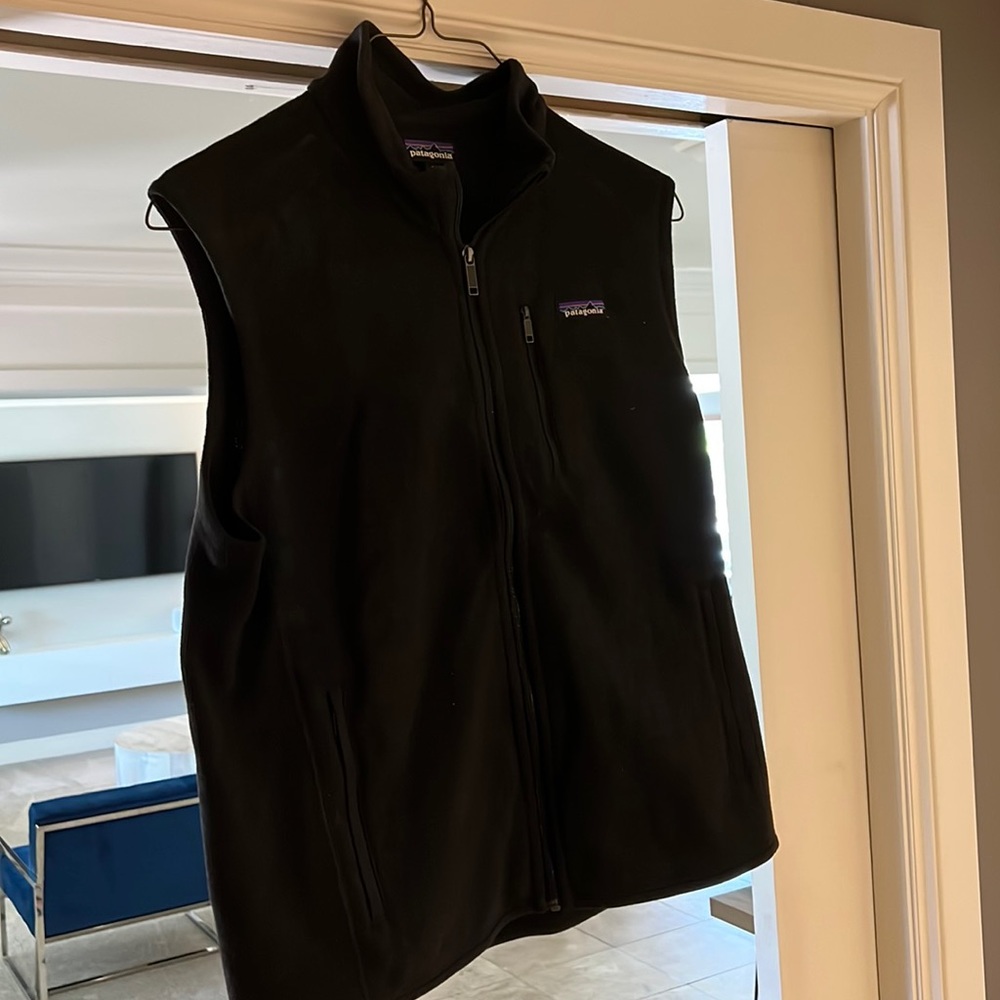Great Patagonia vest